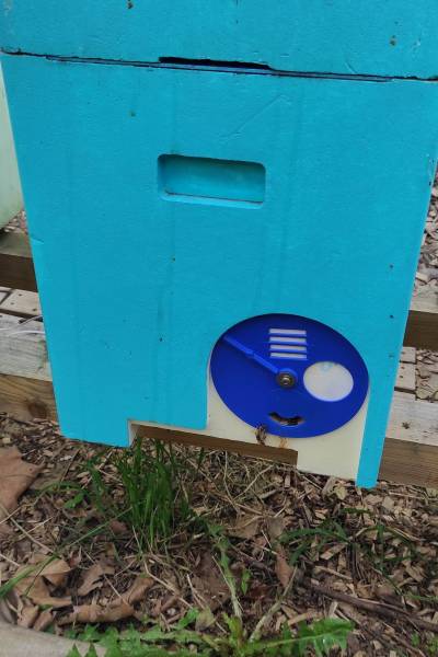 bleue_porte_bleue.jpg bleue_porte_bleue.jpg